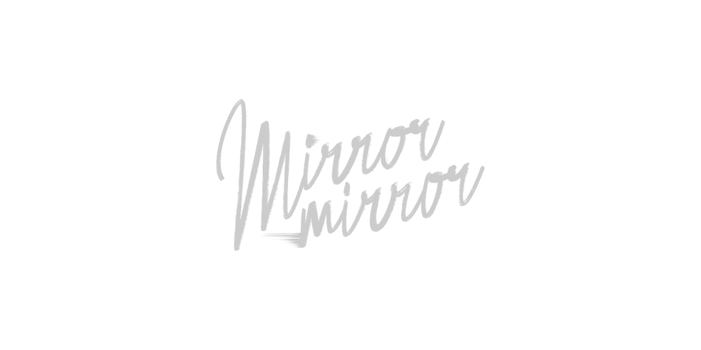 EAVE in mirror-mirror.nl