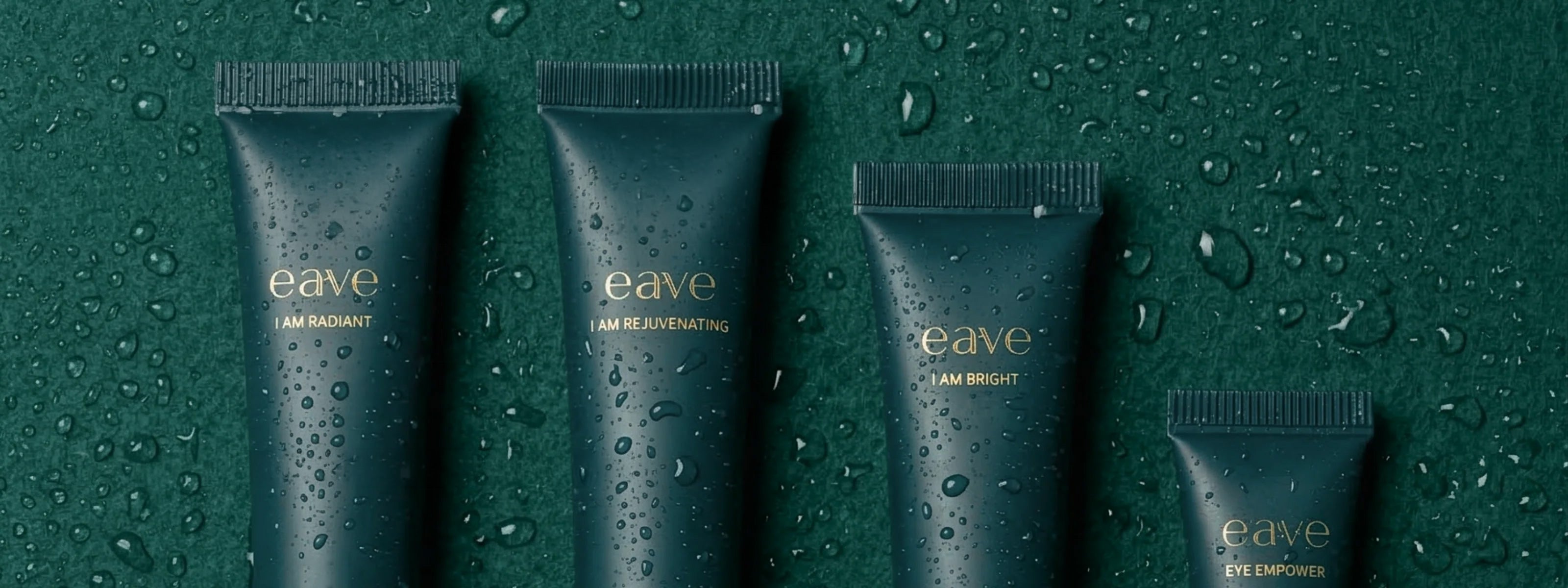 EAVE banner